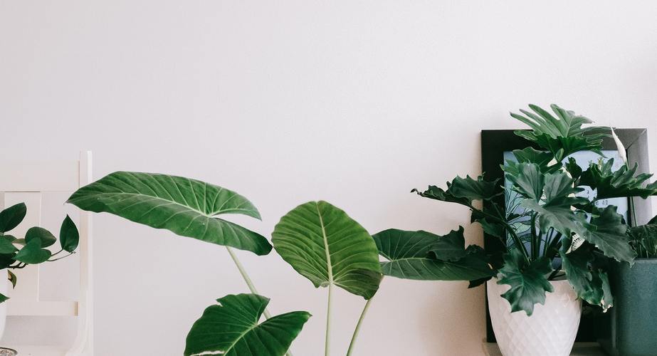 Phó Thủ tướng Vương Đình Huệ: Cải cách chính sách tiền lương phải điều chỉnh cả thể chế, chính sách