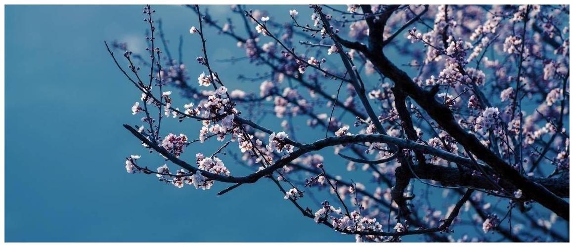 Nhìn lại giá cả thị trường dịp Tết Nguyên đán Mậu Tuất: Không có biến động bất thường