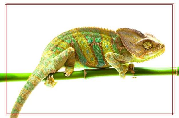 Dự trữ Quốc gia: Sẵn sàng, chủ động trong mọi tình huống