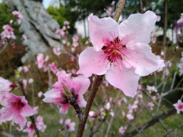 Sứ Viglacera Thanh Trì thông qua tăng vốn điều lệ gấp 3 lần
