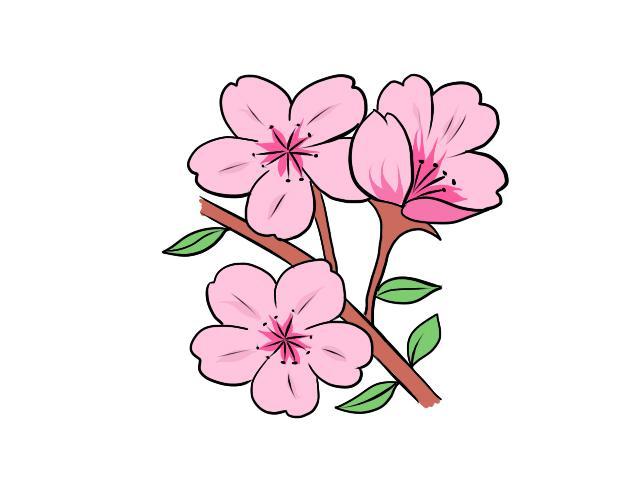 Ngành Dự trữ Nhà nước: Chủ động, sẵn sàng ứng cứu các tình huống mưa lớn, lũ quét tại các tỉnh miền núi phía Bắc