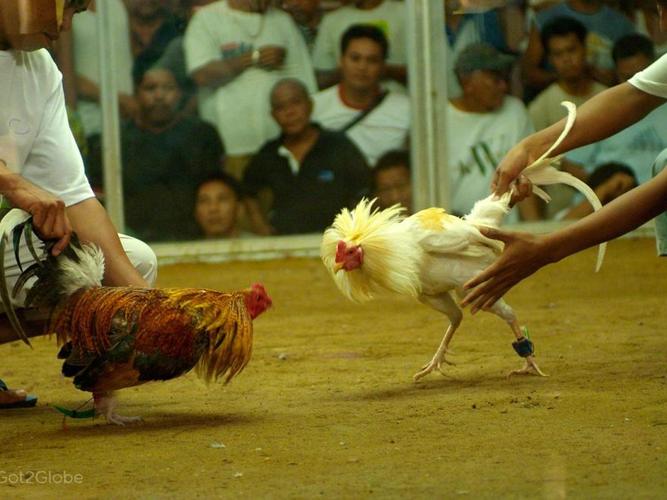Gạo Dự trữ Quốc gia đến với Mocbai1 chính thức uy tín nghèo nơi địa đầu Tổ quốc