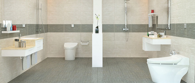 Sứ Viglacera Thanh Trì thông qua tăng vốn điều lệ gấp 3 lần